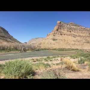 Meet your Posher, Sydney